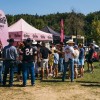 bbq, pickies, perutnina-ptuj