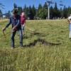 zrece, rogla