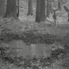 kr.png