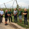 janez-cigler-kralj, hmeljarji, hmelj, terenski-obisk