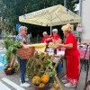 bogracfest-2026, bogracfest, bograc