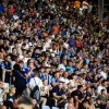 nk-celje, liga-prvakov