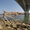 drava-naplavine