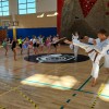 karate