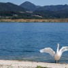 družmirsko jezero 1.jpg