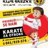 karate