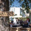 Festival kave Vrhnika