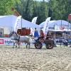 gornja-radgona, sejem-agra-2026