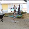 gornja-radgona, sejem-agra-2026