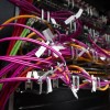 profimedia-1003814355.jpg
