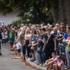 lendava, lendavska-trgatev