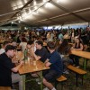 sd-cernelavci, 50-let, uciteljice, mambo-kings, dj-hari