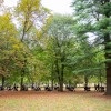 vozickanje, drustvo-mladih-beltinci, beltinci