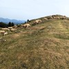 soriska-planina, planinski-izlet