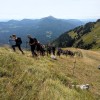 soriska-planina, planinski-izlet