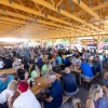 strukljifest