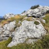 soriska-planina, planinski-izlet