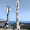 soriska-planina, planinski-izlet