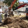 novo-mesto, trznica