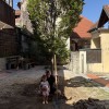 novo-mesto, trznica
