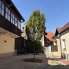 novo-mesto, trznica