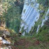 iskanje, pogresana-oseba
