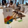 sah, sd-krka-novo-mesto