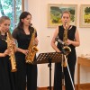 grad, razstava, pot-na-goricko, stanislava-desnik