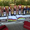 gregor, gombosi, dvojni, ultra-triatlon, bad-radkersburg