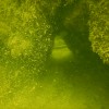 eko-krka, kpa-novo-mesto