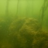 eko-krka, kpa-novo-mesto