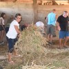 zetev-in-metev-prosa-po-starem-v-podgori