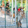 znk-mura-nona, znk-cerklje, zenska-nogometna-liga-triglav