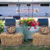 festival-prazenega-krompirja, lipovci, prazen, krompir, festival, bostjan-rous