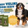 Kumov Gosbi izziv