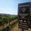 EK_ucni vinograd.jpg