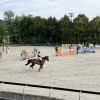 IMG_2775.jpeg
