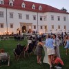 grad negova, penina fejst
