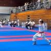 karate-klub-mirna-pec, meimurje-open-2026