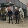 Policista s konji
