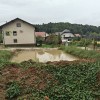 boris-mijic