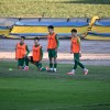 nk-krka, nk-krsko-posavje