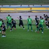 nk-krka, nk-krsko-posavje