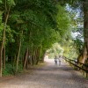 otok-ljubezni, dan-biosfernega-območja, ižakovci