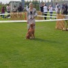 razstava-psov, obcina-lendava, sportni-park-lendava