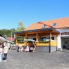 dolenje-susice