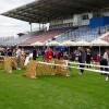razstava-psov, obcina-lendava, sportni-park-lendava