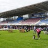 razstava-psov, obcina-lendava, sportni-park-lendava