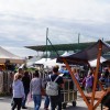razstava-psov, obcina-lendava, sportni-park-lendava