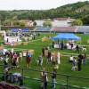 razstava-psov, obcina-lendava, sportni-park-lendava